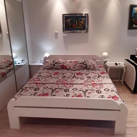 Apartment Viktoria *